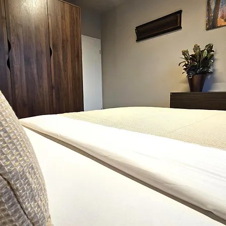 Apartman Downtown Dream *
